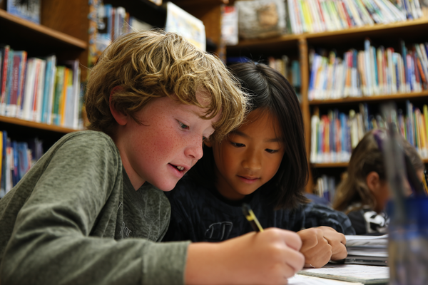 Unit Plan 16 (Grade 5 Library): Main Idea, Theme, and Evidence