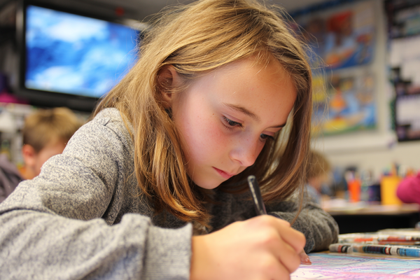 Unit Plan 24 (Grade 3 Counselor): Apologies, Repair, and Rebuilding Trust