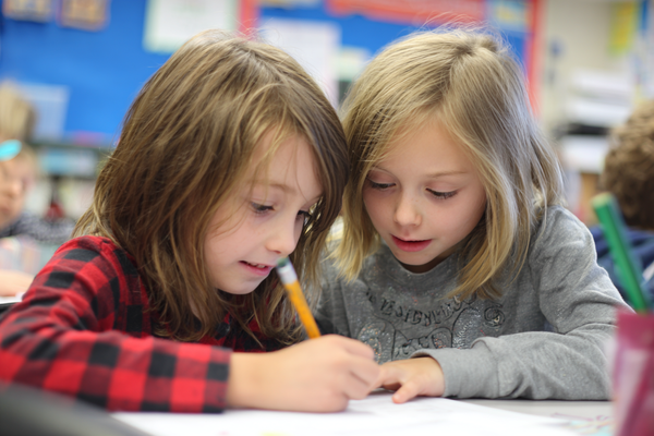 Unit Plan 7 (Grade 2 Counselor): Choosing a Coping Strategy