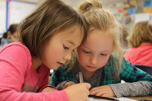 Unit Plan 7 (Grade 3 Counselor): Coping Strategies for Different Feelings