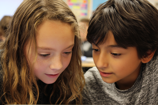 Unit Plan 31 (Grade 3 Counselor): Feelings and Coping Review