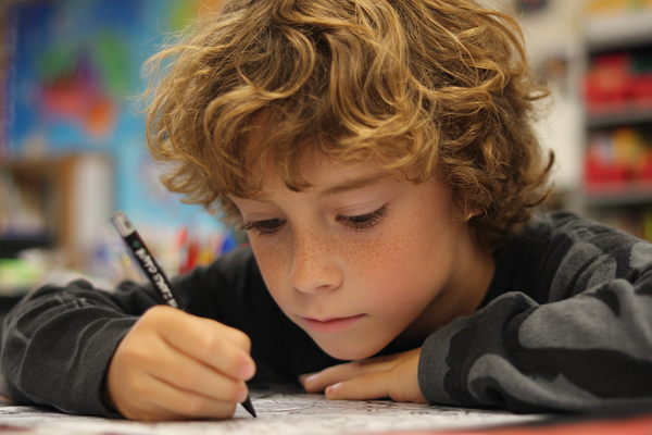 Unit Plan 4 (Grade 2 Counselor): Kindness, Empathy, and Helping Others