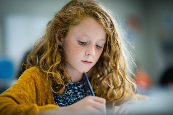Unit Plan 34 (Grade 5 Counselor): Positive Leadership Before Middle School