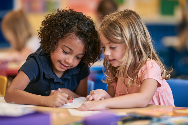 Unit Plan 25 (Grade K Counselor): Including Others