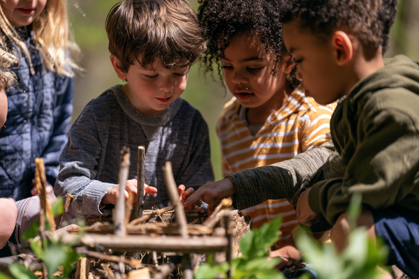 Lesson Plan (Grades K-2): Animal Builders Blueprint Challenge - Habitats, Structures, and Creative Problem-Solving