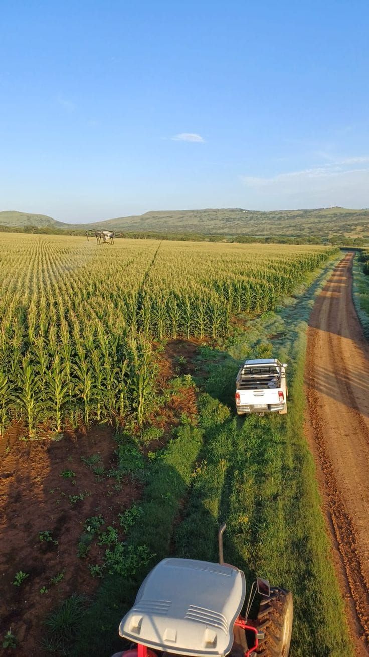 Standard Bank Bets on Soil Carbon With South Africa’s First Bank-Led Regenerative Agriculture Credit Programme Post feature image