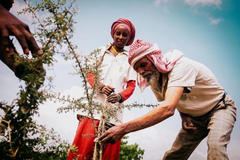 GEF Commits $9.8 Million to Scale Nature-Based Climate Resilience in Ethiopia Post image