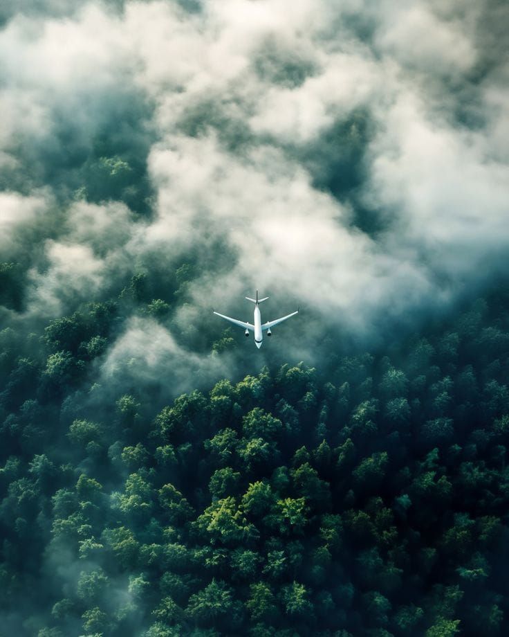 Liberia Faces Mounting Pressure to Open Carbon Credit Sales Under Global Aviation Scheme Post feature image