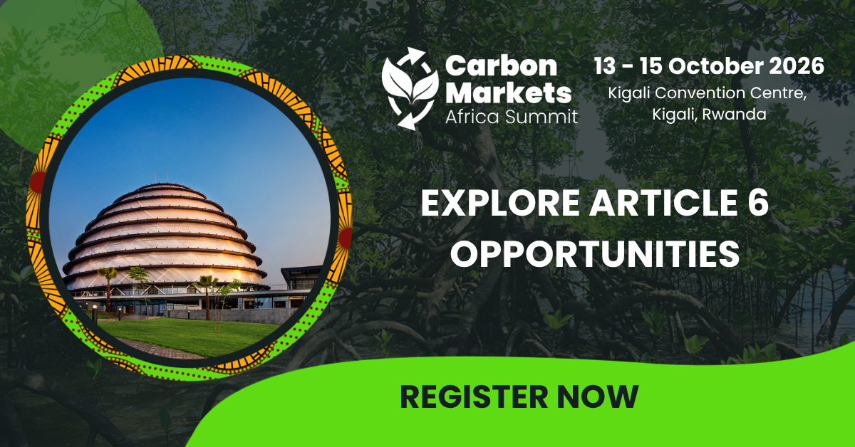 Beyond the carbon credit: Who sets the terms for Africa’s carbon markets? Post feature image