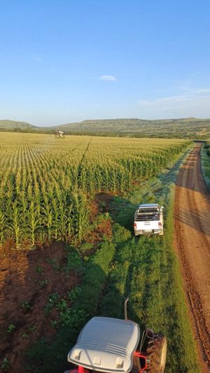 Standard Bank Bets on Soil Carbon With South Africa’s First Bank-Led Regenerative Agriculture Credit Programme Post feature image