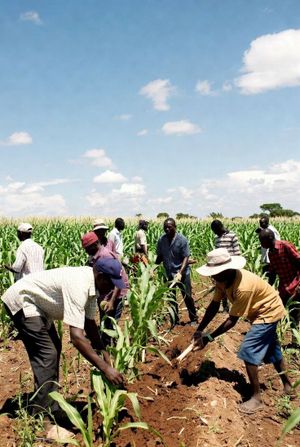 Benin Raises Climate Ambition, Taps into Carbon Markets to Unlock $10 Billion in Climate Finance Post feature image