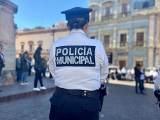 Local Laws & Regulations