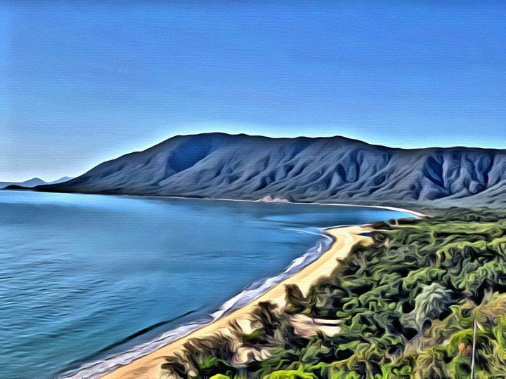 Rainforest and Reef Project