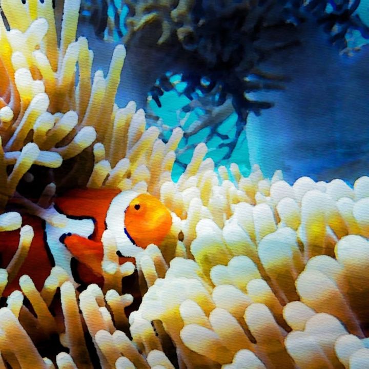 Music Video: Finbar The Whistling Fish