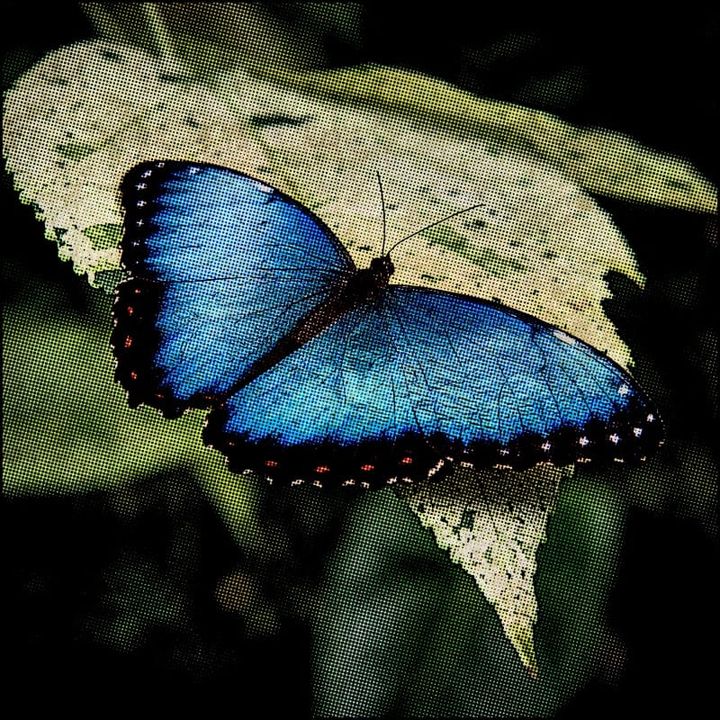 Music Video: Ulysses