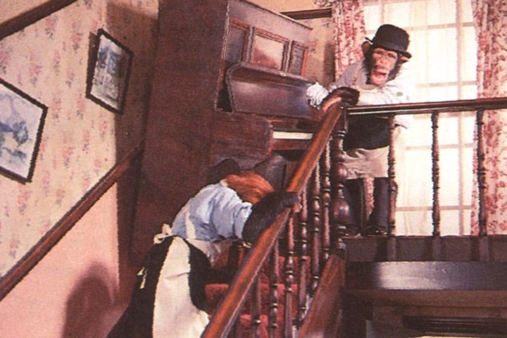 PG Tips – Mr Shifter