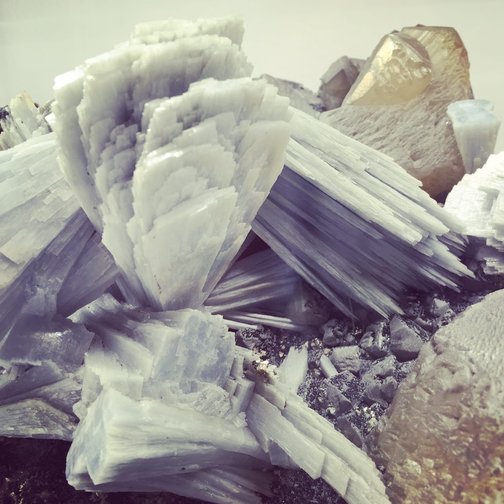 Close up of jagged, pale blue-gray crystal or formation, possibly kyanite, on quartz.