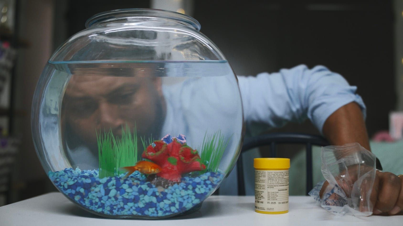 Flush • BWiFF 2025