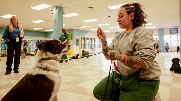 Nothing Safer • BWiFF 2025