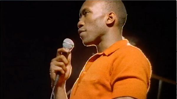 Taste the Revolution • BWiFF 2025