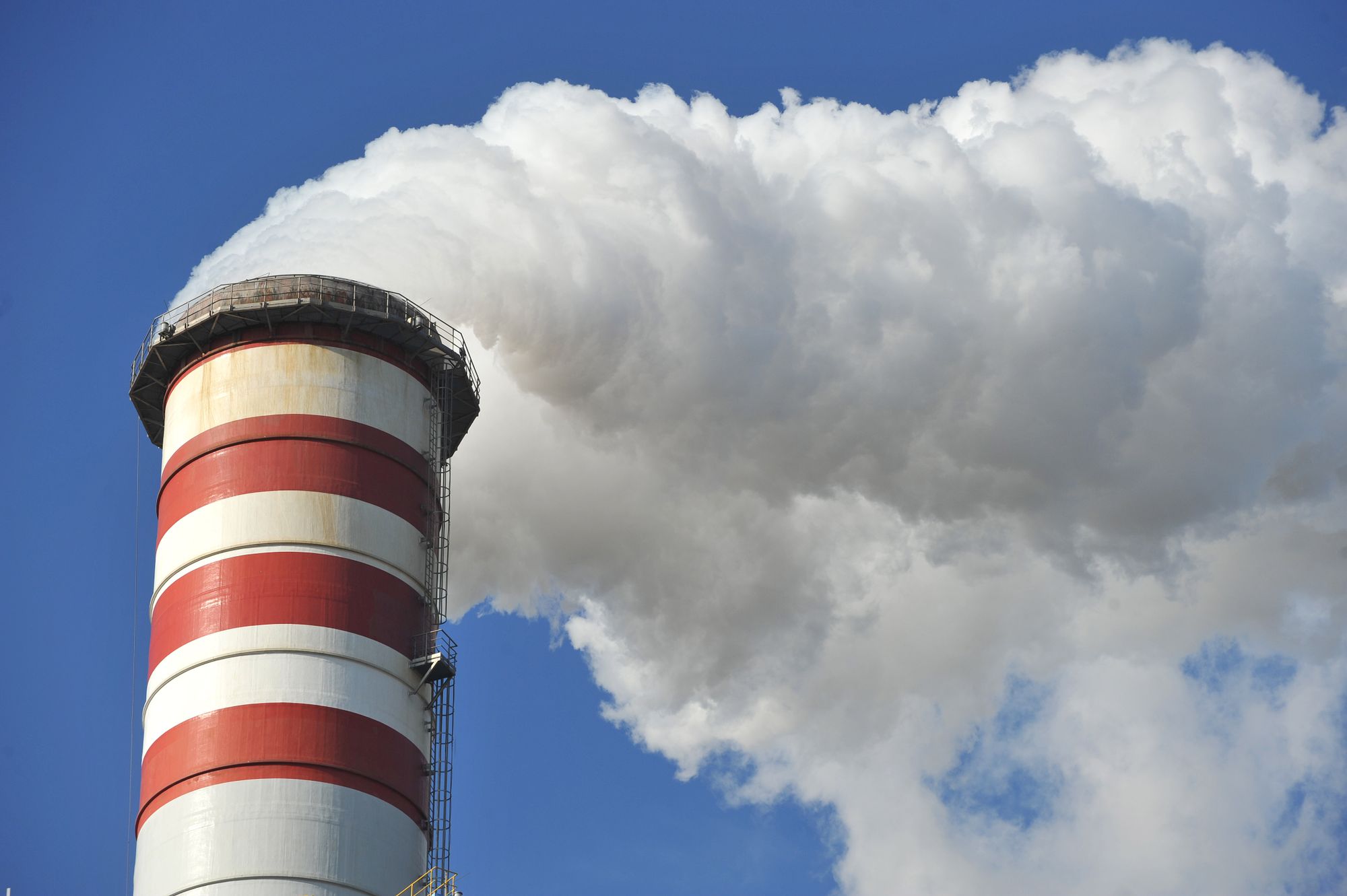 Nowak-Far: Wycofaniem się z pakietu klimatycznego odstraszymy inwestorów