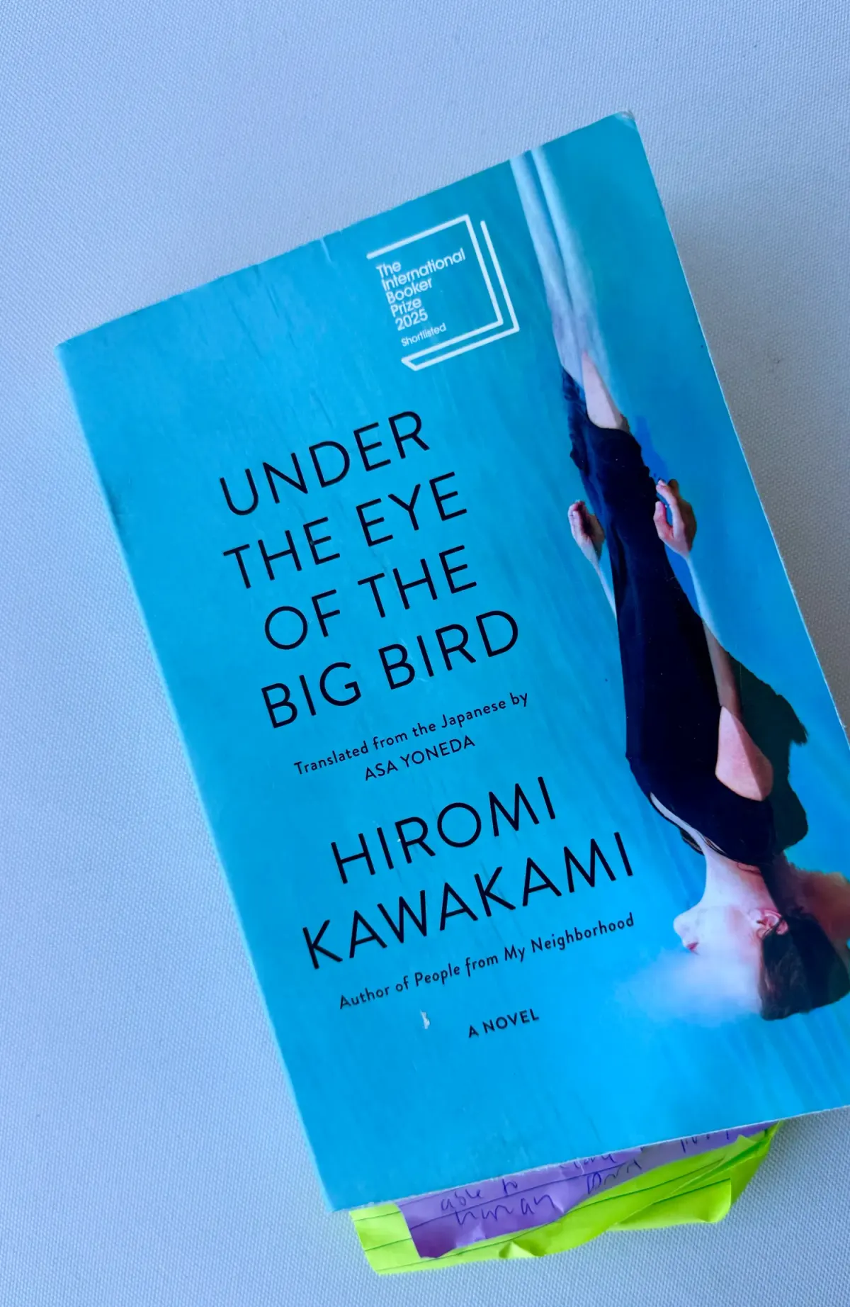 Hiromi Kawakami - Under the Eye of the Big Bird