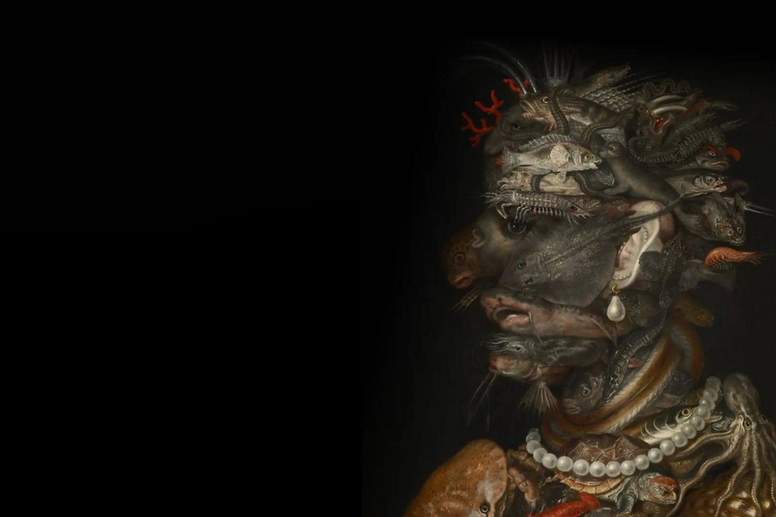 Night Flight to Vienna