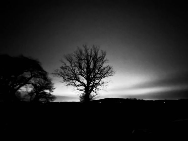 Clark Notes, Volume 1: Yuletide Nights and Other Happenings