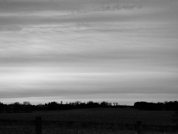 Clark Notes, Volume 2: Winter storm, comfort movie, and a new Tarot deck