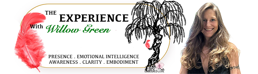The EXPERIENCE With Willow Green
