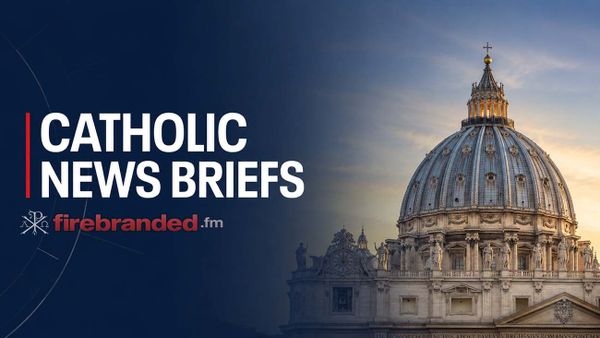 News Briefs #7