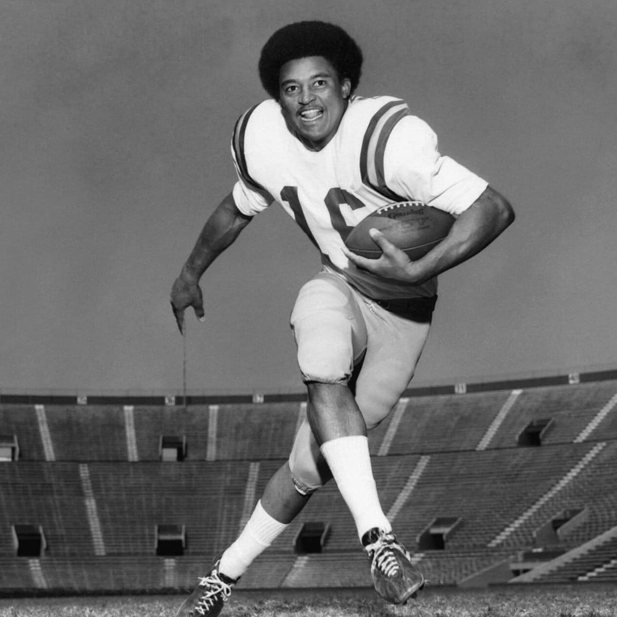 LSU's daily countdown to football hit day 16 by honoring Edgard native Terry Robiskie, the Tigers' first RB…
