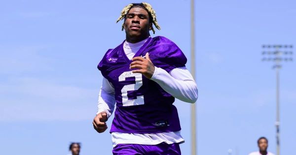 LSU opened fall camp this week and completed its position previews with the safety group, a unit the program…