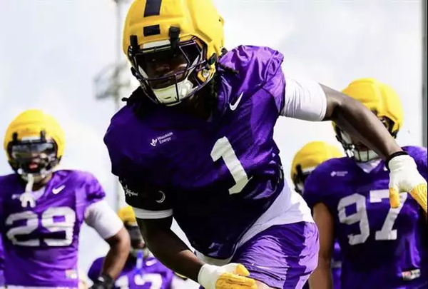 LSU linebacker Whit Weeks and edge rusher Princewill Umanmielen were named to the Nagurski Trophy preseason…