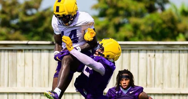 LSU's week one of fall camp produced takeaways on the positions showing the most competition and which…