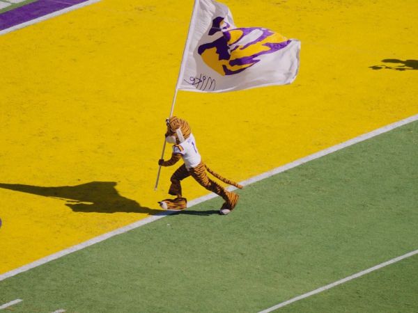 Watch: LSU Football’s game-day video is up, and it’s Mike the Tiger planting the flag