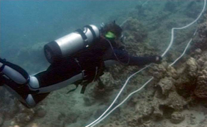 Photo of degraded/barren coral reef with scuba diver floating above it.