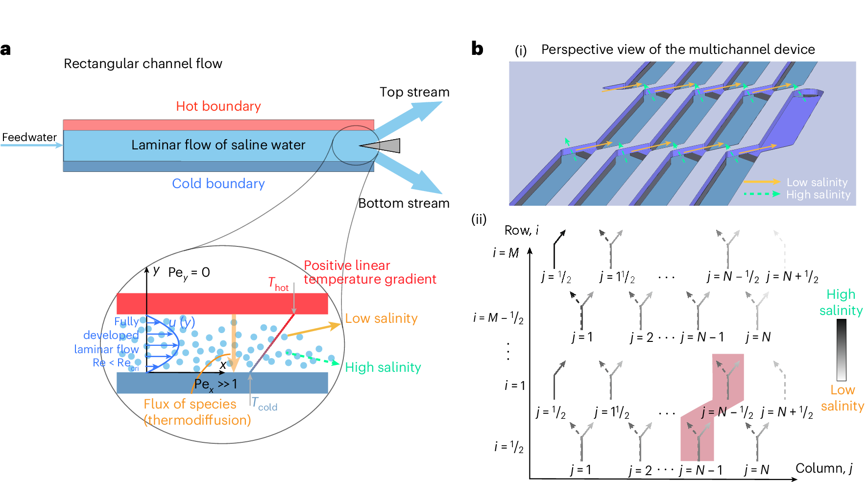 Schematic of new thermodiffusive desalination process