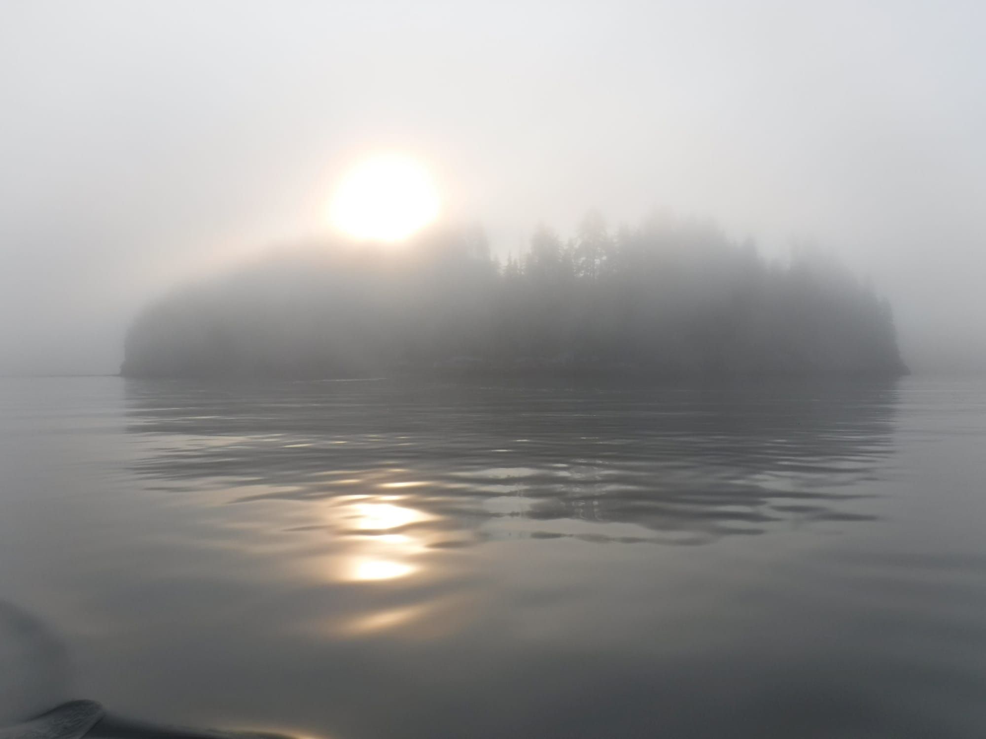 Photo of the low sun just above a small treed island in a calm sea, the whole mostly obscured by thick fog