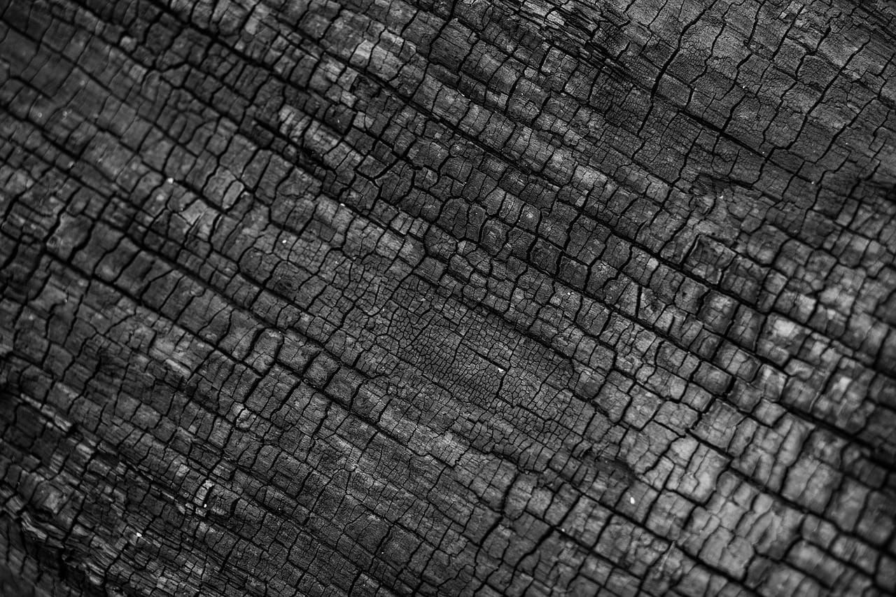Closeup of carbon in the form of a burned tree.