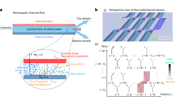 Schematic of new thermodiffusive desalination process