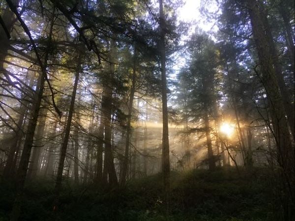 We're trying something different.