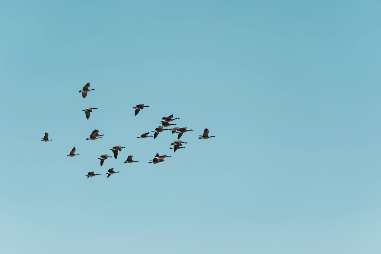 The Next Time You See Me (This), I'll Look Different