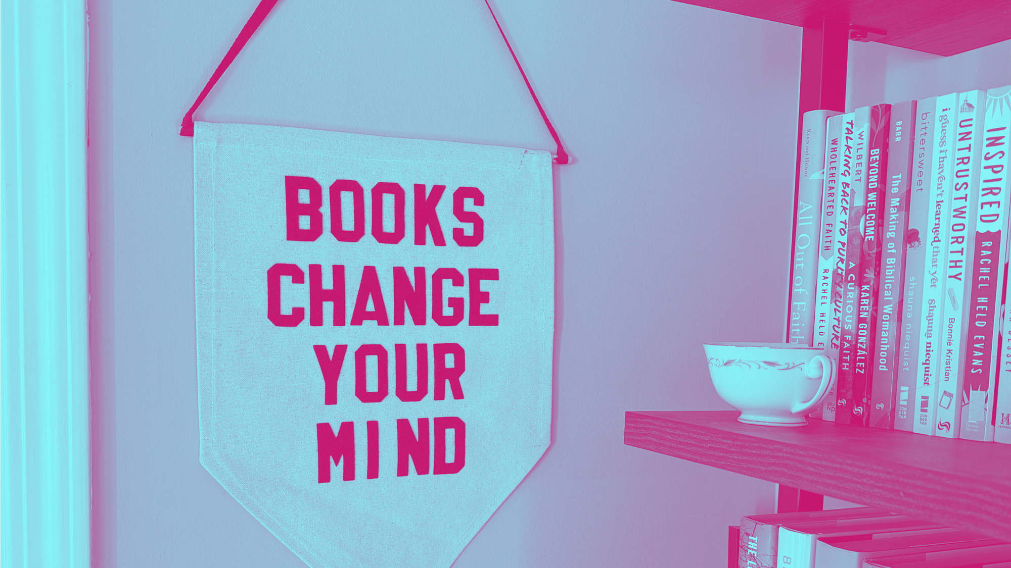 Why Read? The Point of Reading, Buying, and Borrowing Books