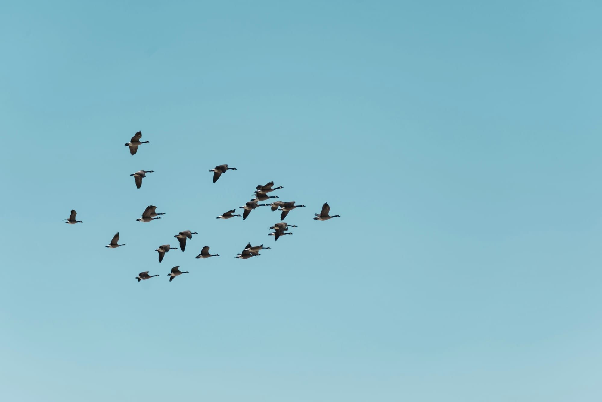 The Next Time You See Me (This), I'll Look Different