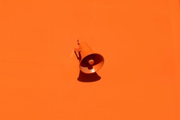 The Influence and Influencer Problem