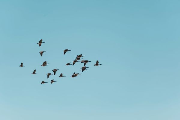 The Next Time You See Me (This), I'll Look Different