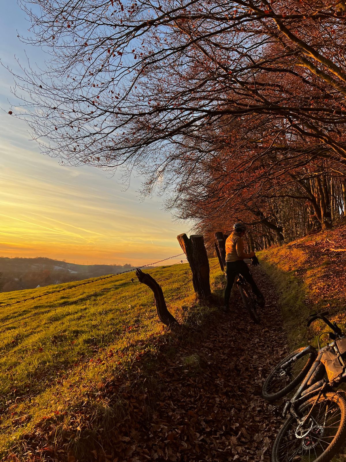 Münsterland