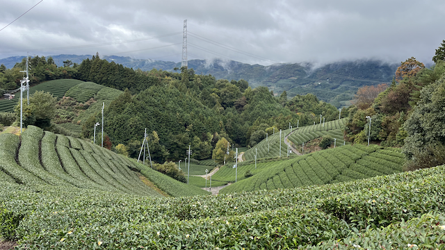 One of my favourite views in the fields overlooking a misty and cloudy day