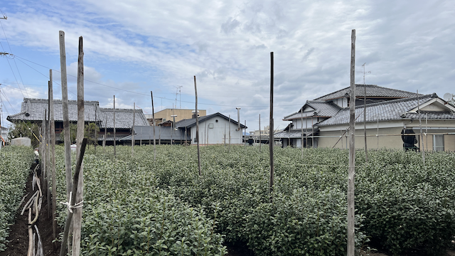 Building the pillar supports.